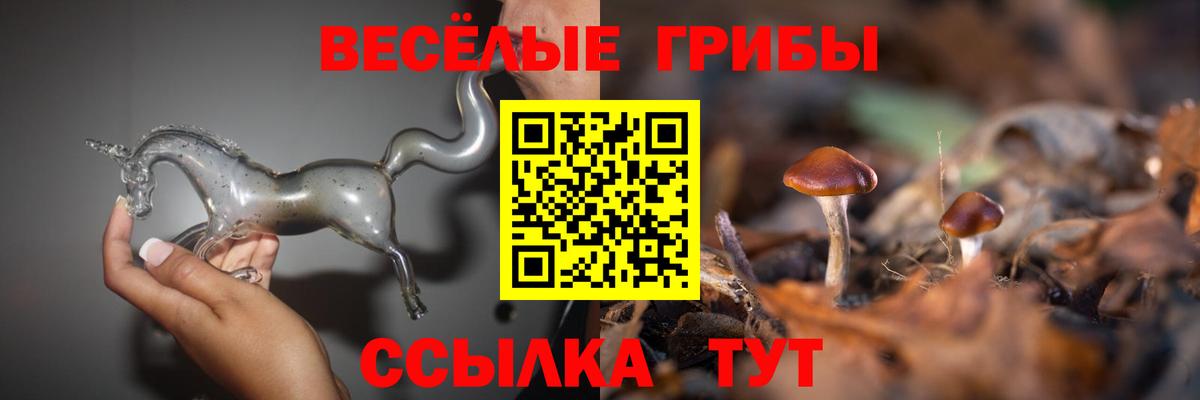 Псилоцибиновые грибы мицелий  как найти закладки  Барабинск  Вход с VPN 